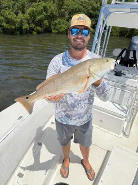 Angler holding a redfish caught during an inshore fishing trip in Sarasota, Florida